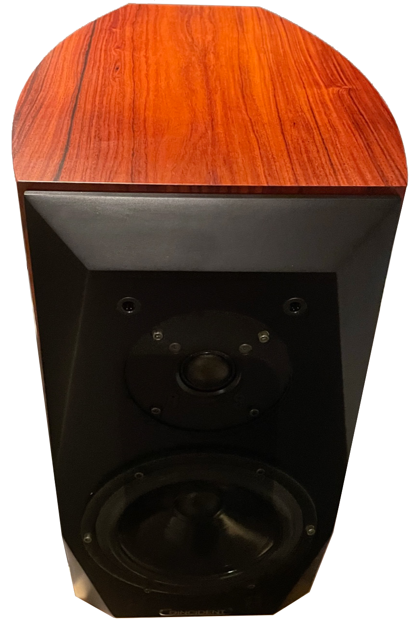 Invictus Loudspeaker